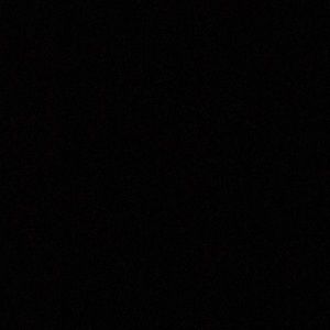 Meet your Posher, Hayden